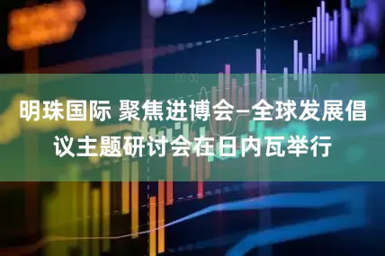明珠国际 聚焦进博会—全球发展倡议主题研讨会在日内瓦举行