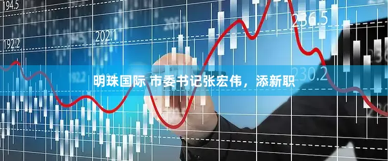明珠国际 市委书记张宏伟，添新职