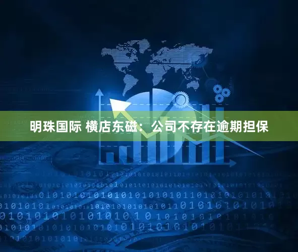 明珠国际 横店东磁:公司不存在逾期担保